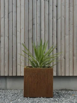 Kummin kruka Corten